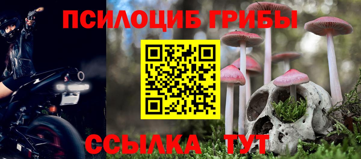 Галлюциногенные грибы GOLDEN TEACHER Борисоглебск