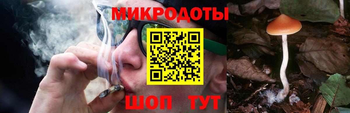 Галлюциногенные грибы GOLDEN TEACHER  Вход с VPN  купить закладку  Борисоглебск 